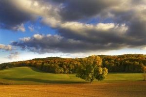 Bed and Breakfast in Toscana | Bed and Breakfast Arezzo | Bed and Breakfast Pergine Valdarno