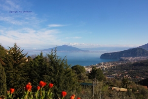 Casa Gaia Sorrento Bio Vacanze